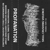 Skull Crushing Violence - Profanation
