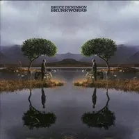 Skunkworks - Bruce Dickinson