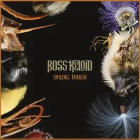 Smiling Thrush - Boss Keloid