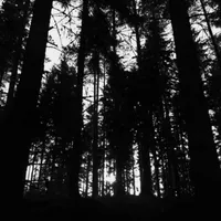 Smoke Screen Horizon - Autumn's Dawn