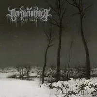 Solitude - Nordicwinter