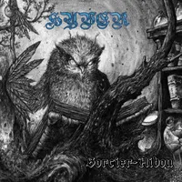 Sorcier​-​hibou - Hyver