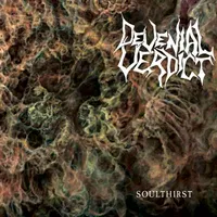 Soulthirst - Devenial Verdict