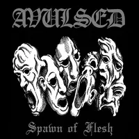 Spawn of Flesh - Avulsed