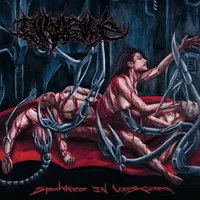 Spawned in Viscera - Divulsive