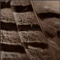 Spirit of Lightning - Wolves in the Throne Room