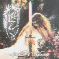 Stelle cadenti - Vëlhtrhaq
