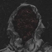 Stillamentum - Gorrch