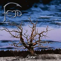 Storm - Fejd