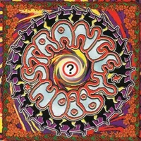 Strange Hobby - Arjen Anthony Lucassen