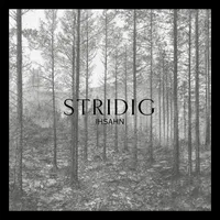 Stridig - Ihsahn