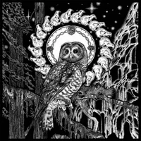 Strigiformes - Escaping Aghartha