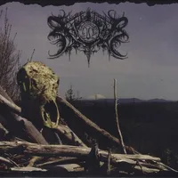 Subject to Change - Xasthur