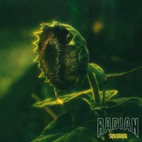 Subterfuge - Radian