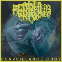 Surveillance Orgy - Februus