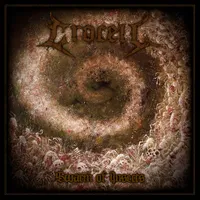 Swarm of Insects - Crocell