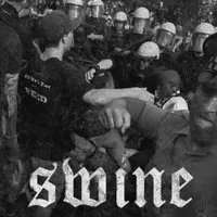 Swine - Boundaries