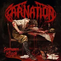 Symphony in Flesh - Carnation