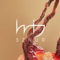 Sznur - Wij
