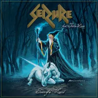 Tears of a Wizard - Seizure