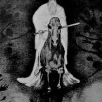 The Black Diary - Asenheim