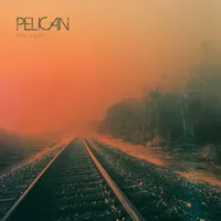 The Cliff - Pelican