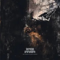The Curtain of White Silence - Lacrimas Profundere