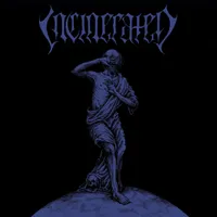 The Epitome of Transgression - Incinerated