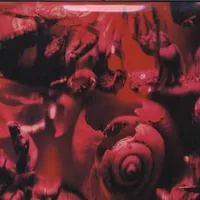The Fall / Reload - Ministry