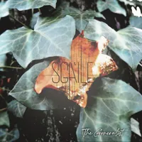 The Generalist - Sgàile