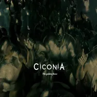 The Golden Fleece - Ciconia