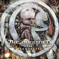 The Heartbleed Bug - The Unguided
