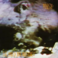 The Land of Rape and Honey - Ministry