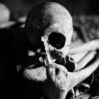 The Last Tomb - Bloodletter