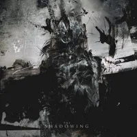 The Shadowing - Orbit Culture