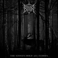 The Stones Hold All Echoes - Boor