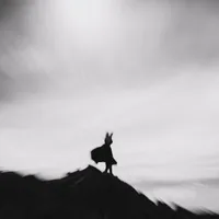 The Weight of Life - Lord of Confusion