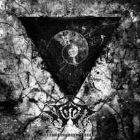 The Wretched Sounds - Nott