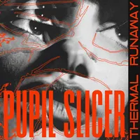 Thermal Runaway - Pupil Slicer