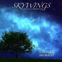 Tonight (Re-Build) - Skywings