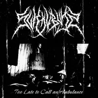 Too Late to Call an Ambulance - Sukkubys