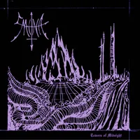 Towers of Midnight - Veneficus Sarcina