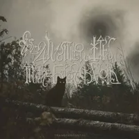 Transcendental - The Answer Lies in the Black Void