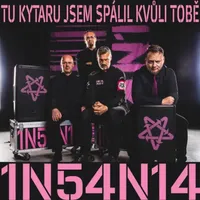 Tu kytaru jsem spálil kvůli tobě - Insania
