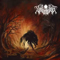 Tulesta syntynyt - Valontuoja