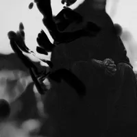 Twice Born - Ihsahn