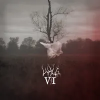 VI - Walg