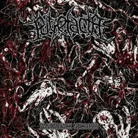 Vantablack Necrosis - Putrefacta