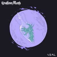 Vial - Sallow Moth