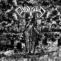 Vigarv - Övervåld